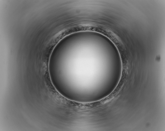 X0000090500821200707272359