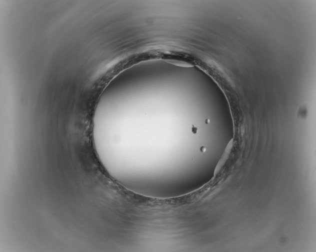 X0000090500822200707272359