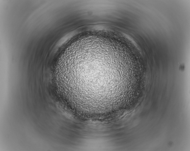 X0000090500823200707272359