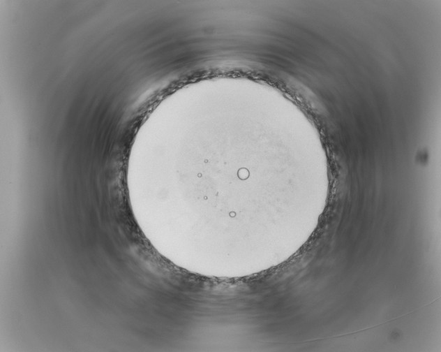 X0000090500824200707272359