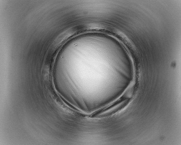 X0000090500825200707272359