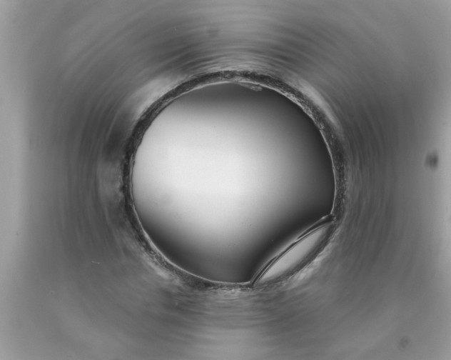 X0000090500826200707272359