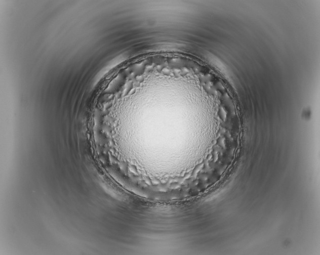 X0000090500827200707272359