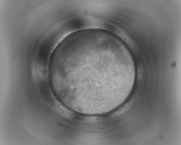 X0000090500828200707272359