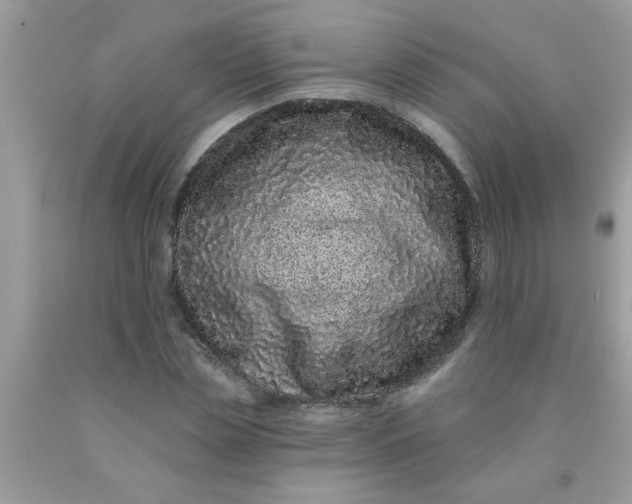 X0000090500829200707272359