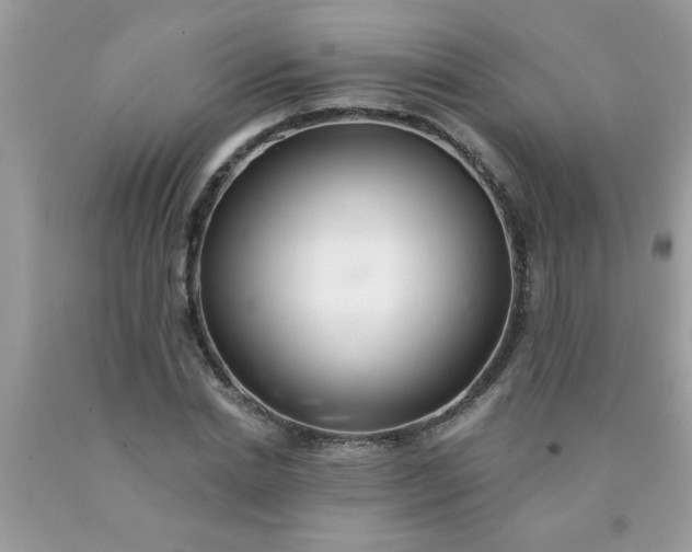 X0000090500830200707272359