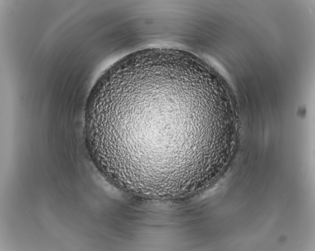 X0000090500831200707272359