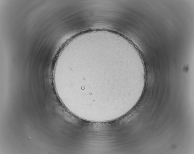 X0000090500832200707272359