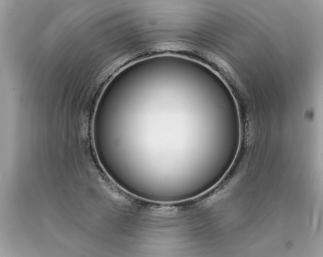 X0000090500833200707272359