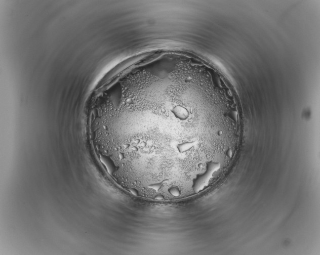 X0000090500835200707272359