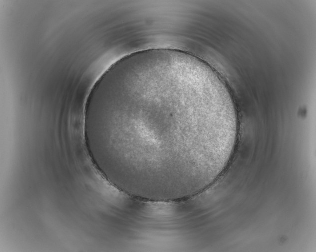 X0000090500836200707272359