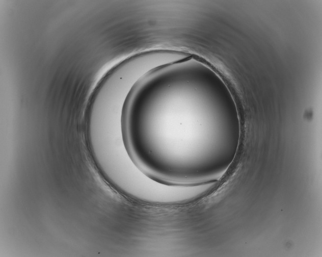 X0000090500838200707272359