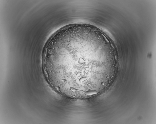 X0000090500839200707272359