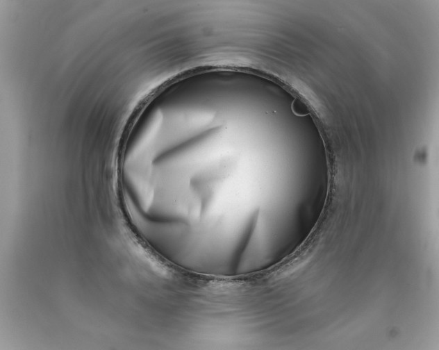 X0000090500840200707272359