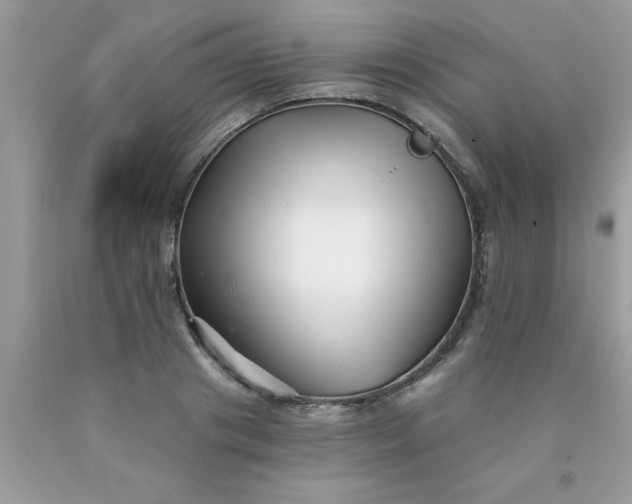 X0000090500841200707272359