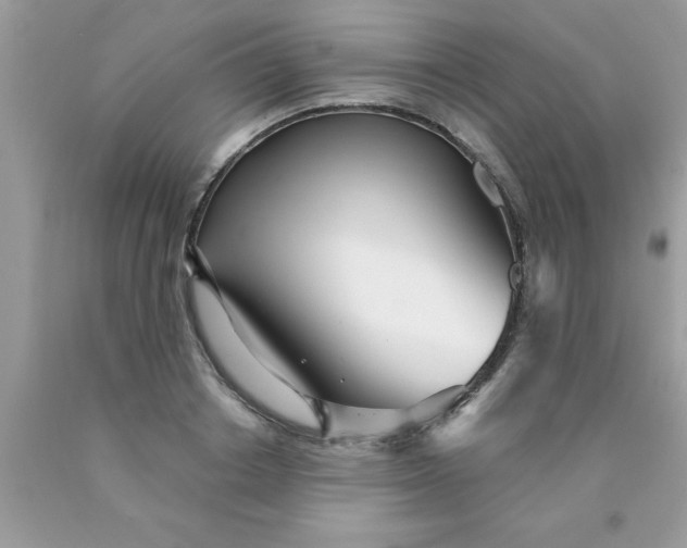 X0000090500842200707280000