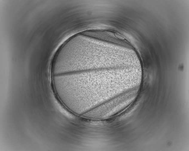 X0000090500843200707280000