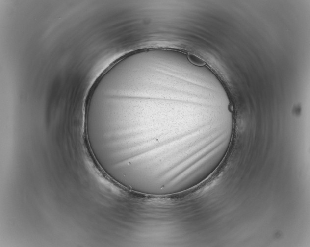 X0000090500844200707280000