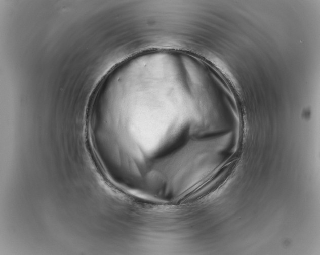 X0000090500845200707280000