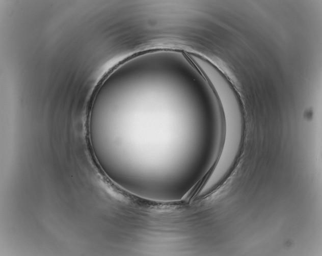 X0000090500846200707280000