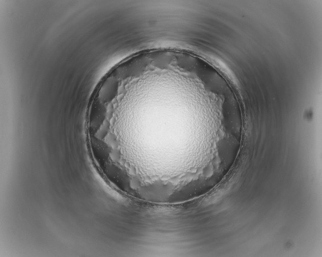 X0000090500847200707280000