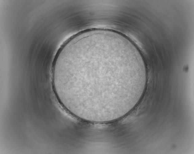 X0000090500848200707280000