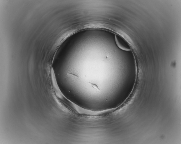 X0000090500849200707280000