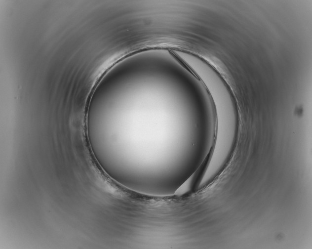 X0000090500850200707280000