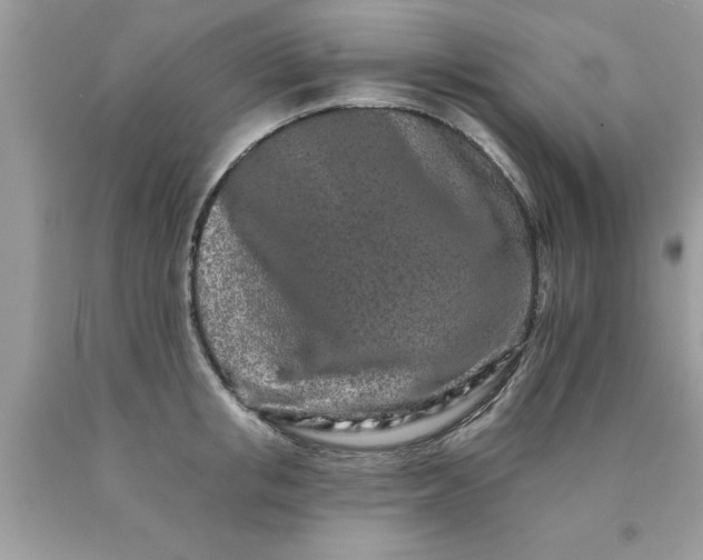 X0000090500853200707280000