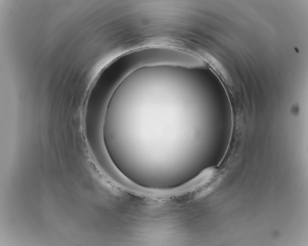 X0000090500854200707280000