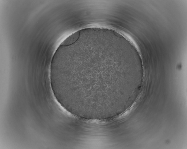 X0000090500855200707280000