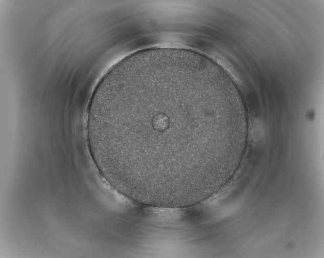 X0000090500856200707280000