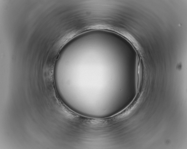 X0000090500857200707280000