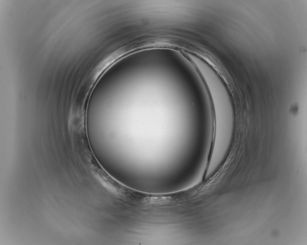 X0000090500858200707280000