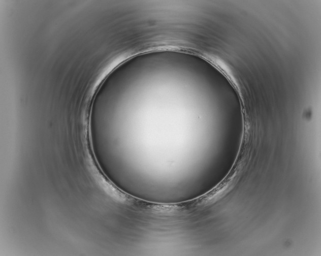 X0000090500859200707280000