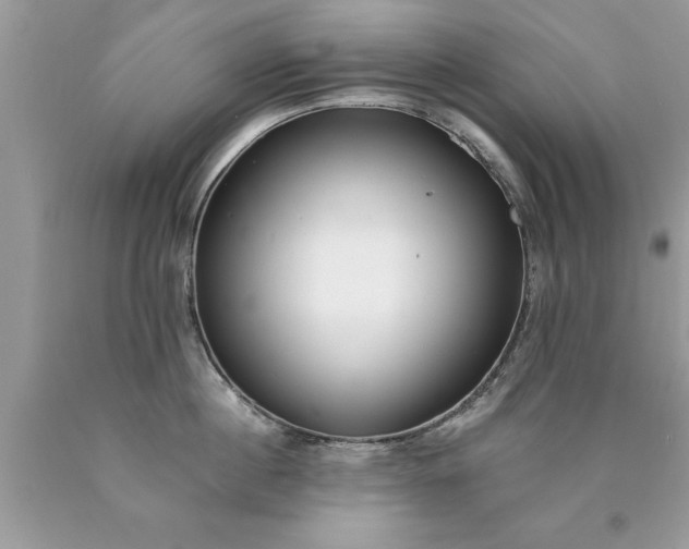 X0000090500860200707280000