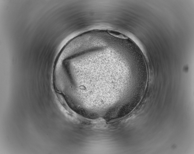 X0000090500861200707280000