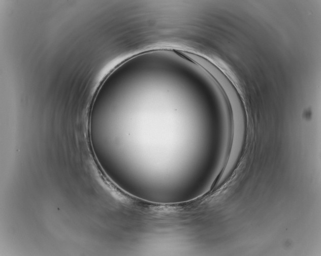 X0000090500862200707280000