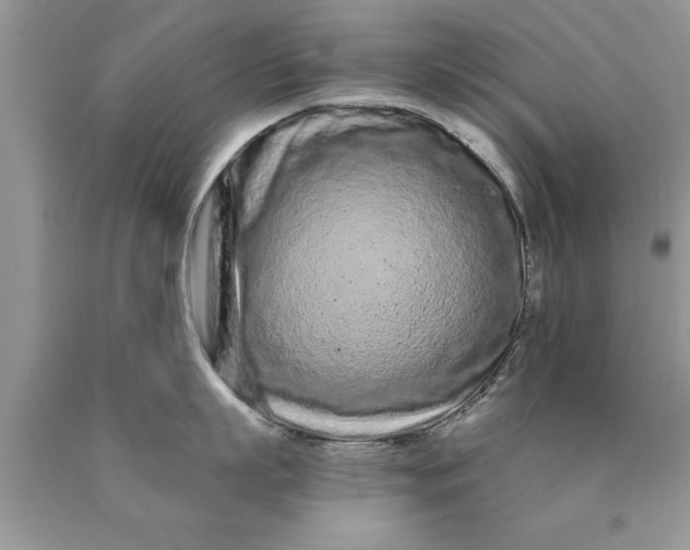 X0000090500863200707280000