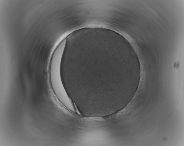 X0000090500864200707280000