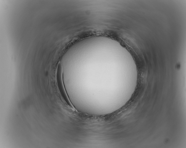 X0000090500865200707272359