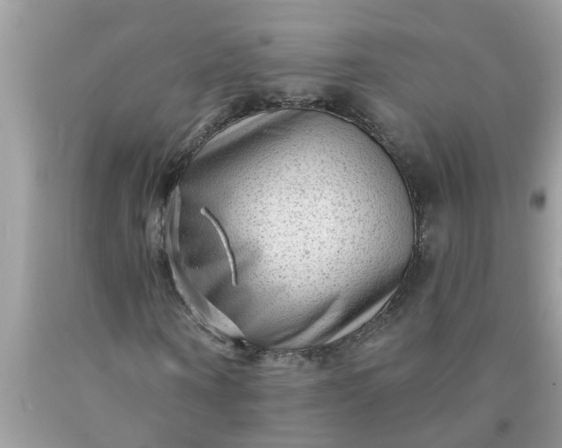 X0000090500866200707272359