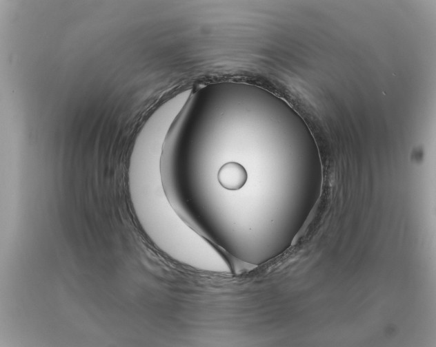 X0000090500868200707272359