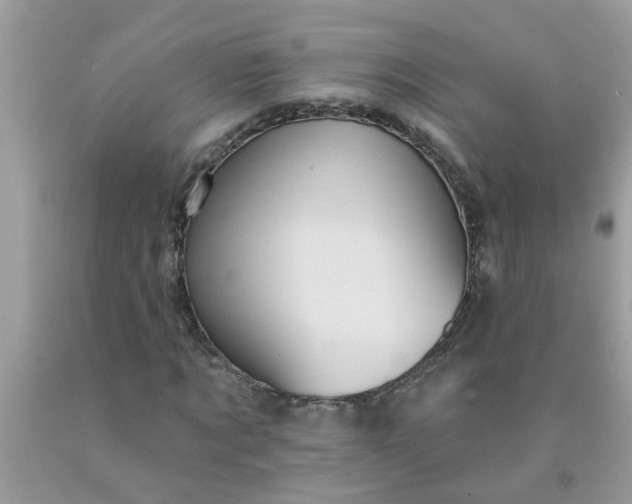 X0000090500869200707272359