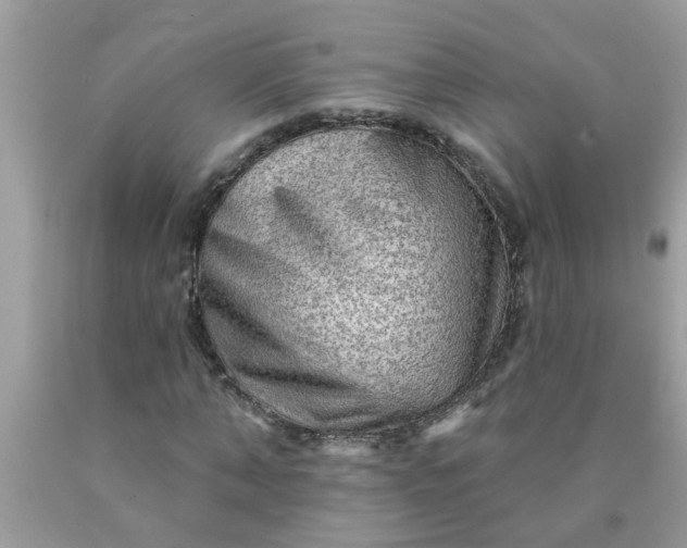 X0000090500870200707272359