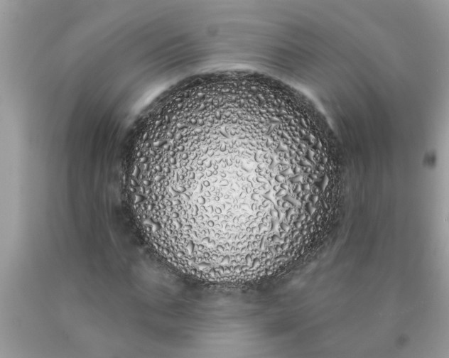 X0000090500871200707272359