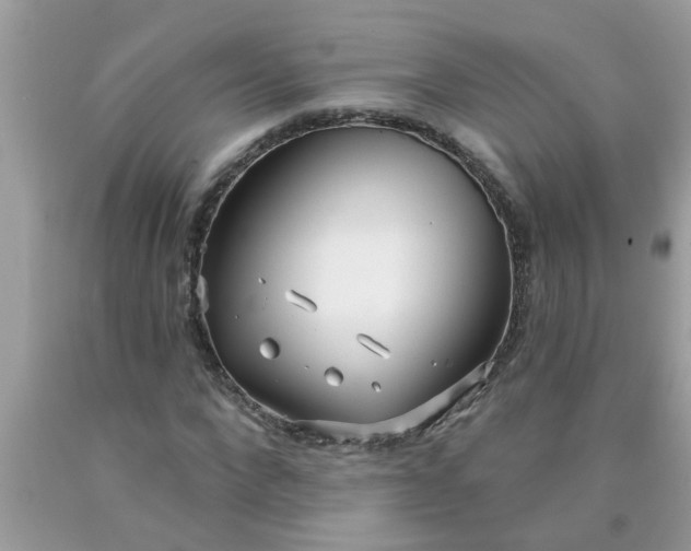 X0000090500872200707272359