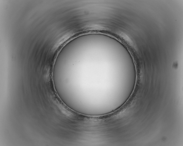 X0000090500873200707272359