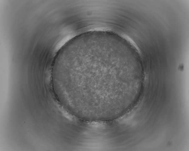 X0000090500874200707272359