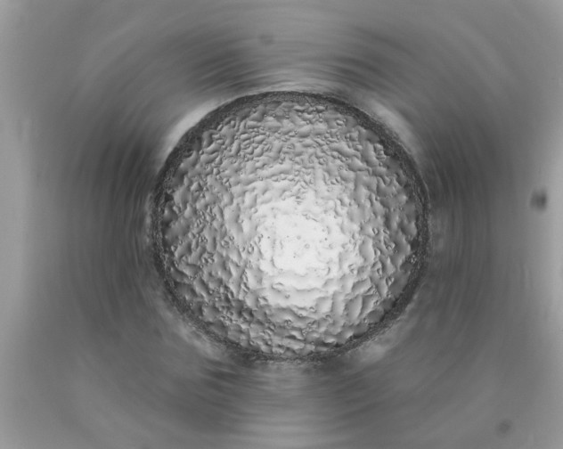 X0000090500875200707272359